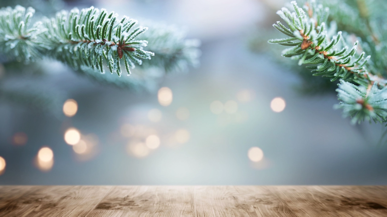 Weihnachtliche Tannenzweige 